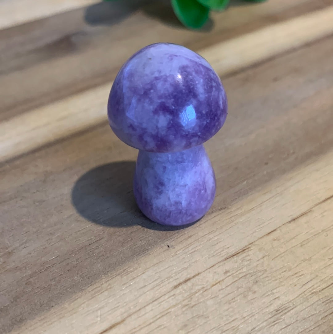 MUSHROOMS (SMALL)