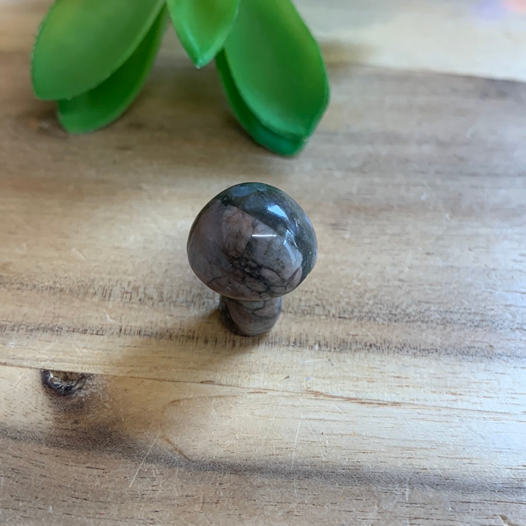 MINI MUSHROOMS