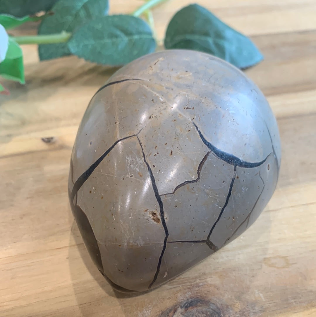 SEPTARIAN EGG WITH EGYPTIAN CARVING INSIDE (MEDIUM TO LARGE)