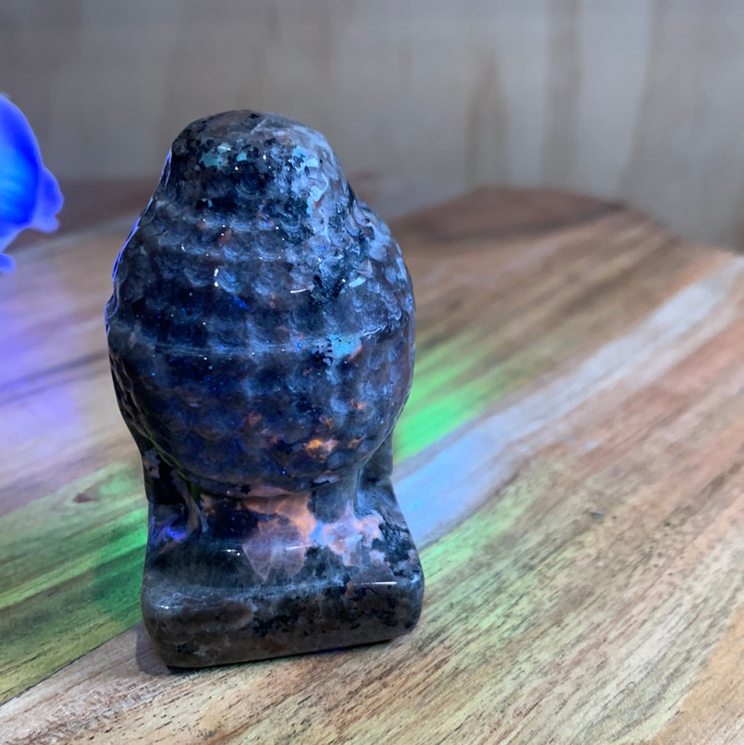 YOOPERLITE BUDDHA