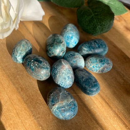 BLUE APATITE PALMSTONES (SMALL)