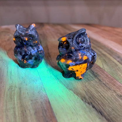 OWLS (SMALL)