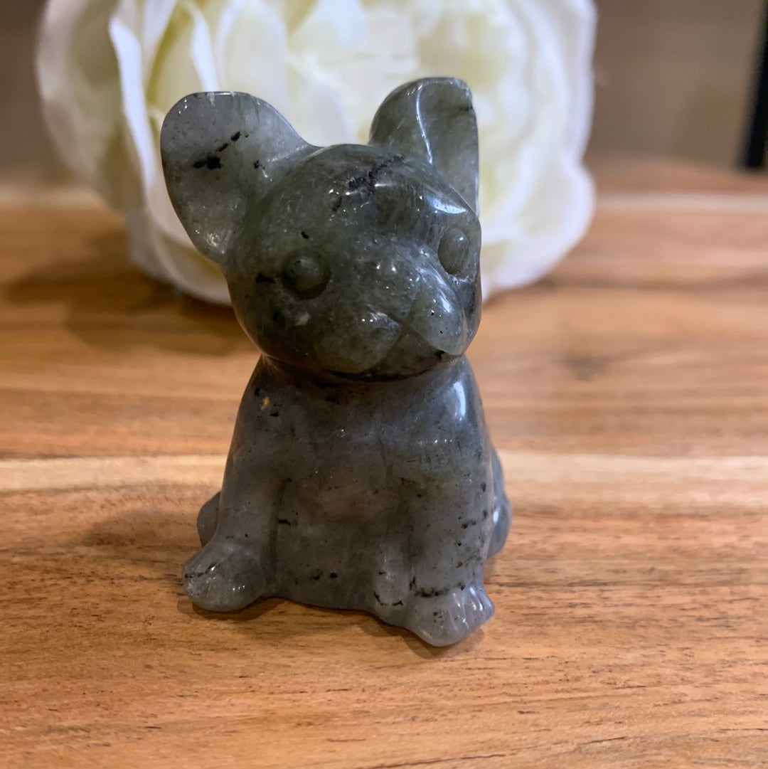 LABRADORITE FRENCH DOG