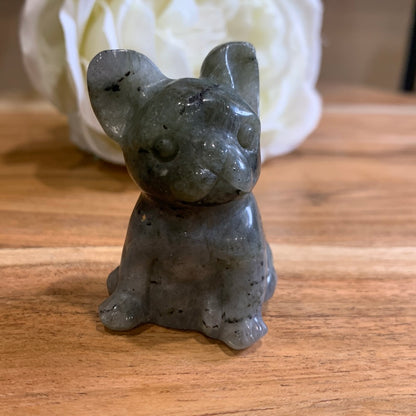 LABRADORITE FRENCH DOG