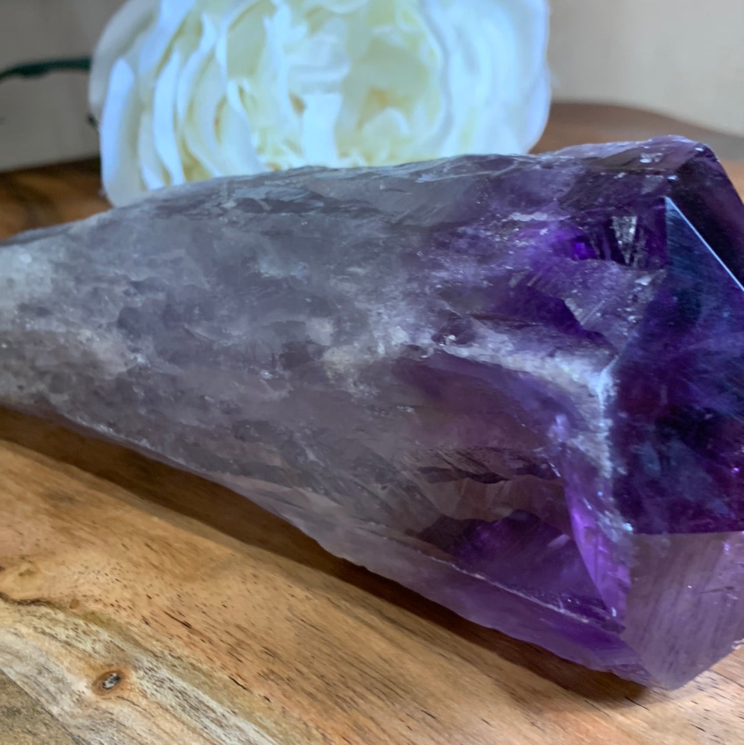 AMETHYST TOOTH (MASSIVE 714 GRAMS)