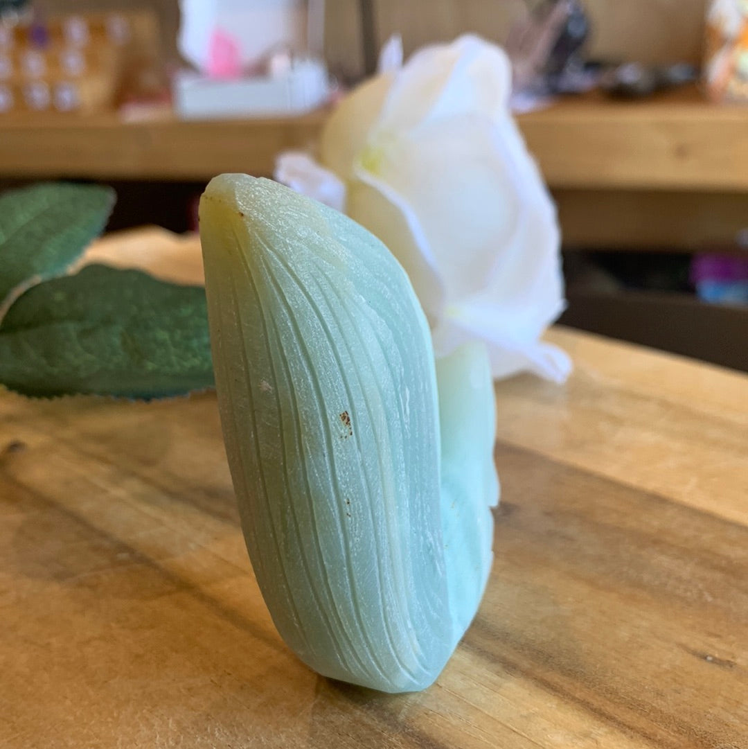 CARRIBEAN CALCITE SQUIRREL