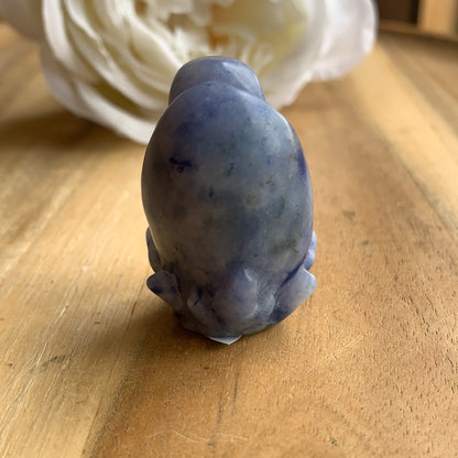 SODALITE TURTLE