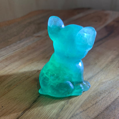 FLUORITE FRENCH DOGS