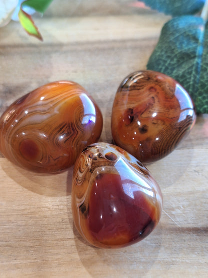 CARNELIAN PALMS