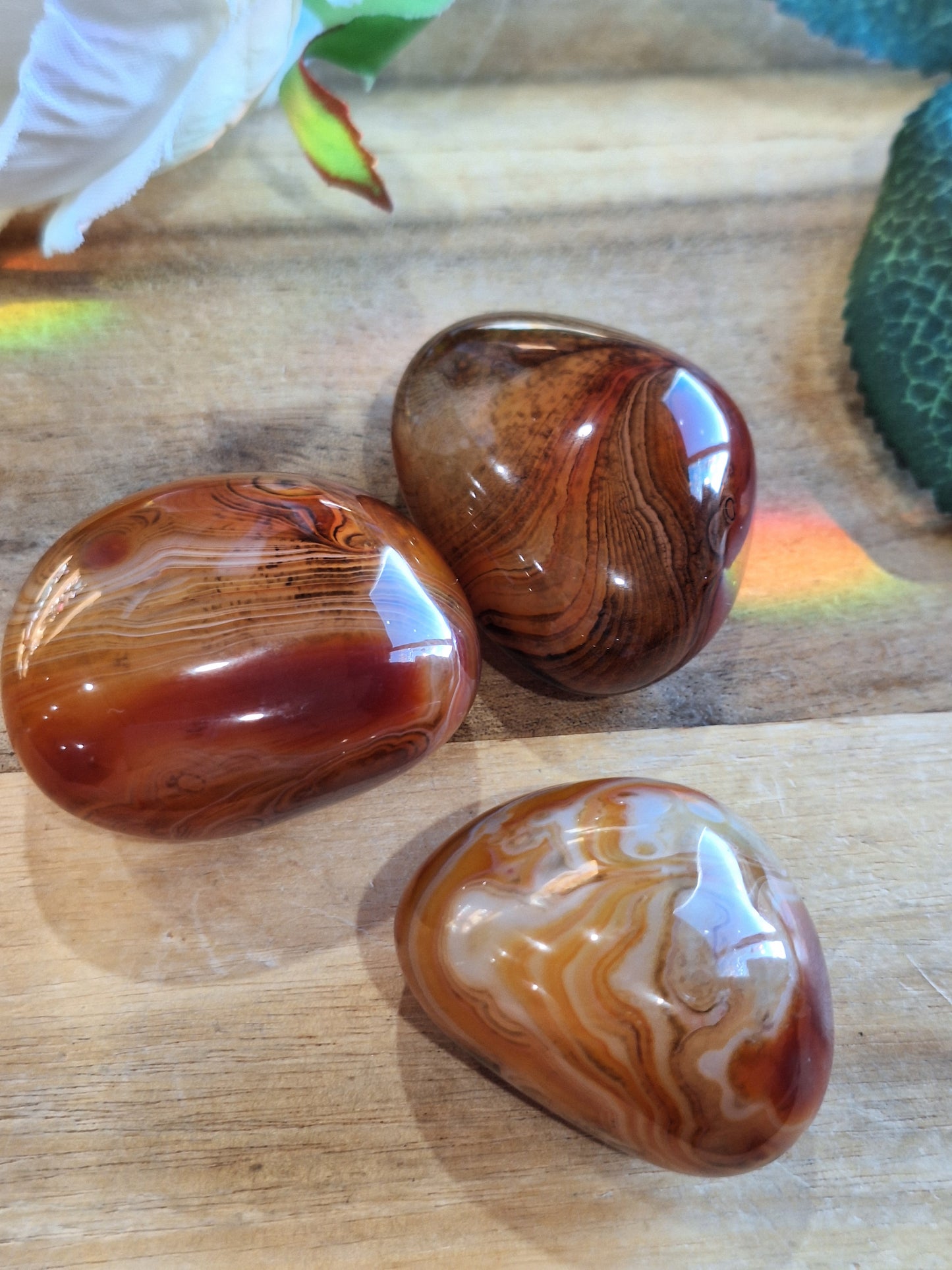 CARNELIAN PALMS