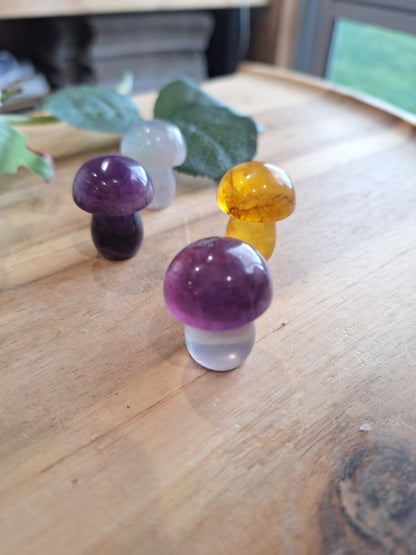 FLUORITE MUSHROOMS