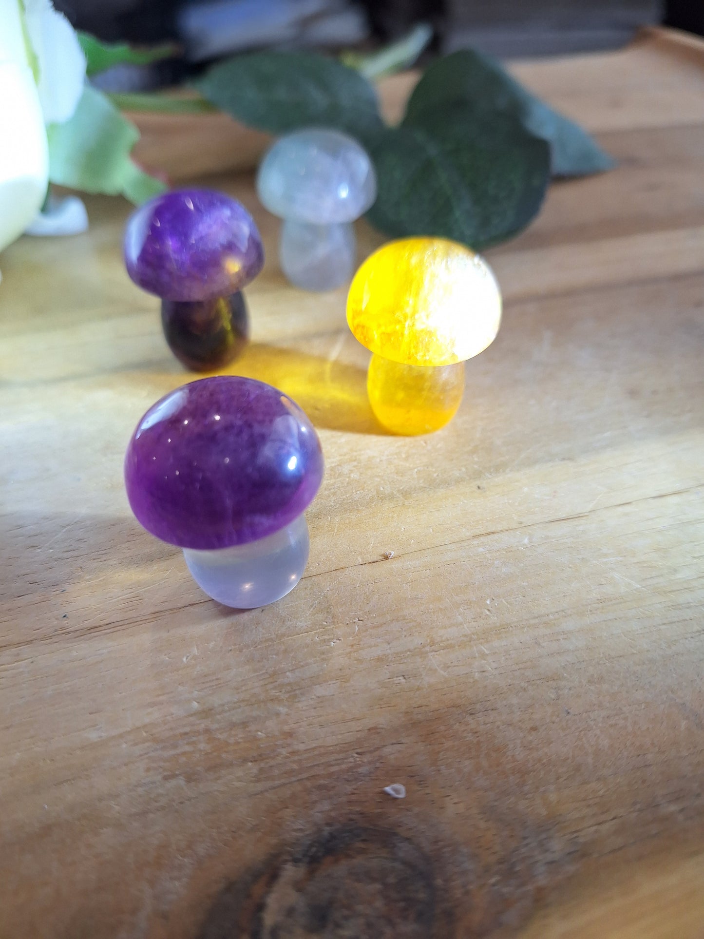 FLUORITE MUSHROOMS