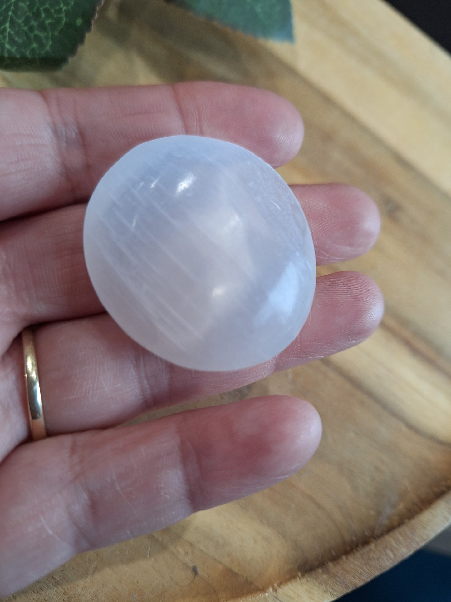 SELENITE SPIDER PALM STONE