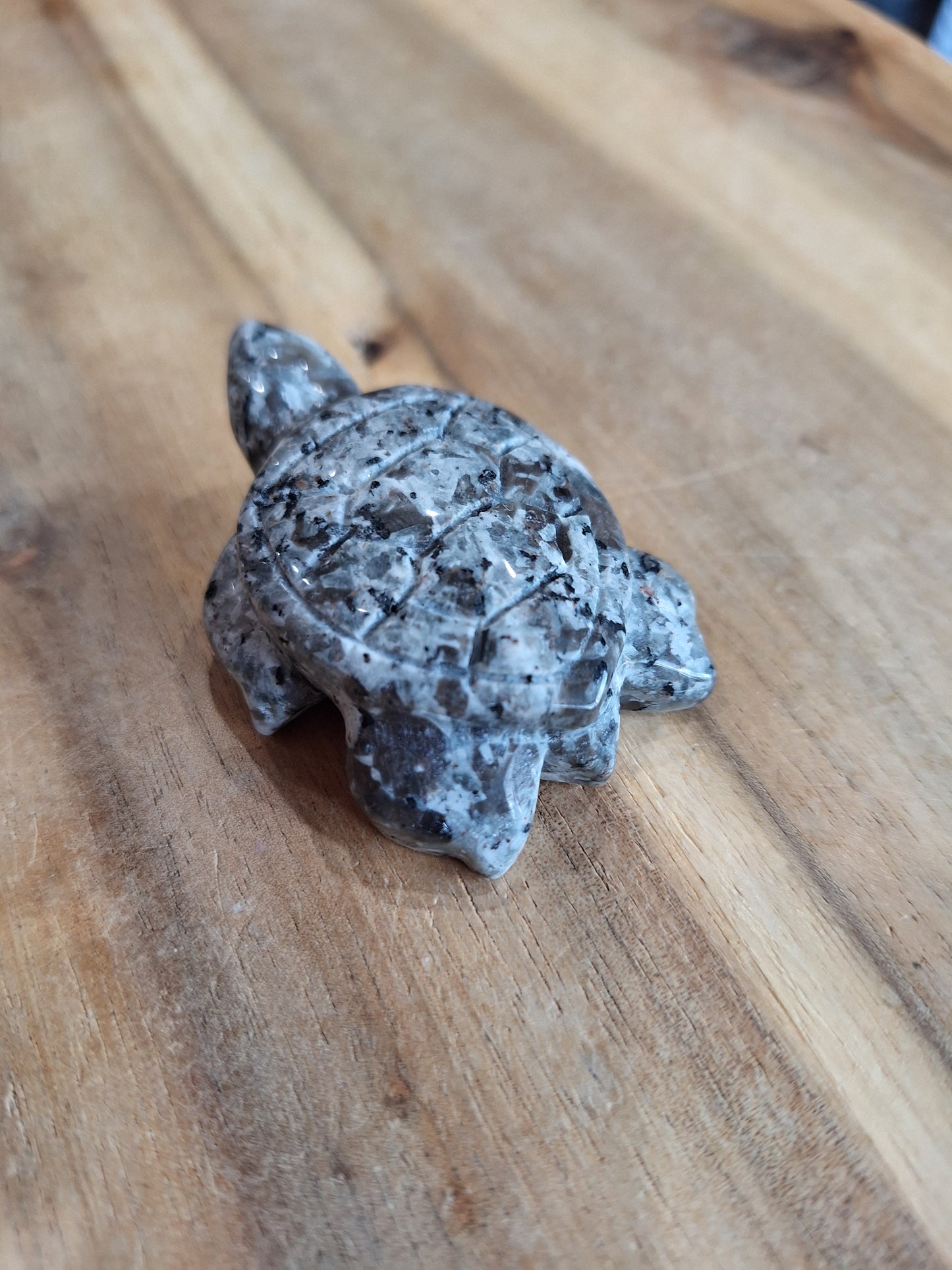 YOOPERLITE TURTLE