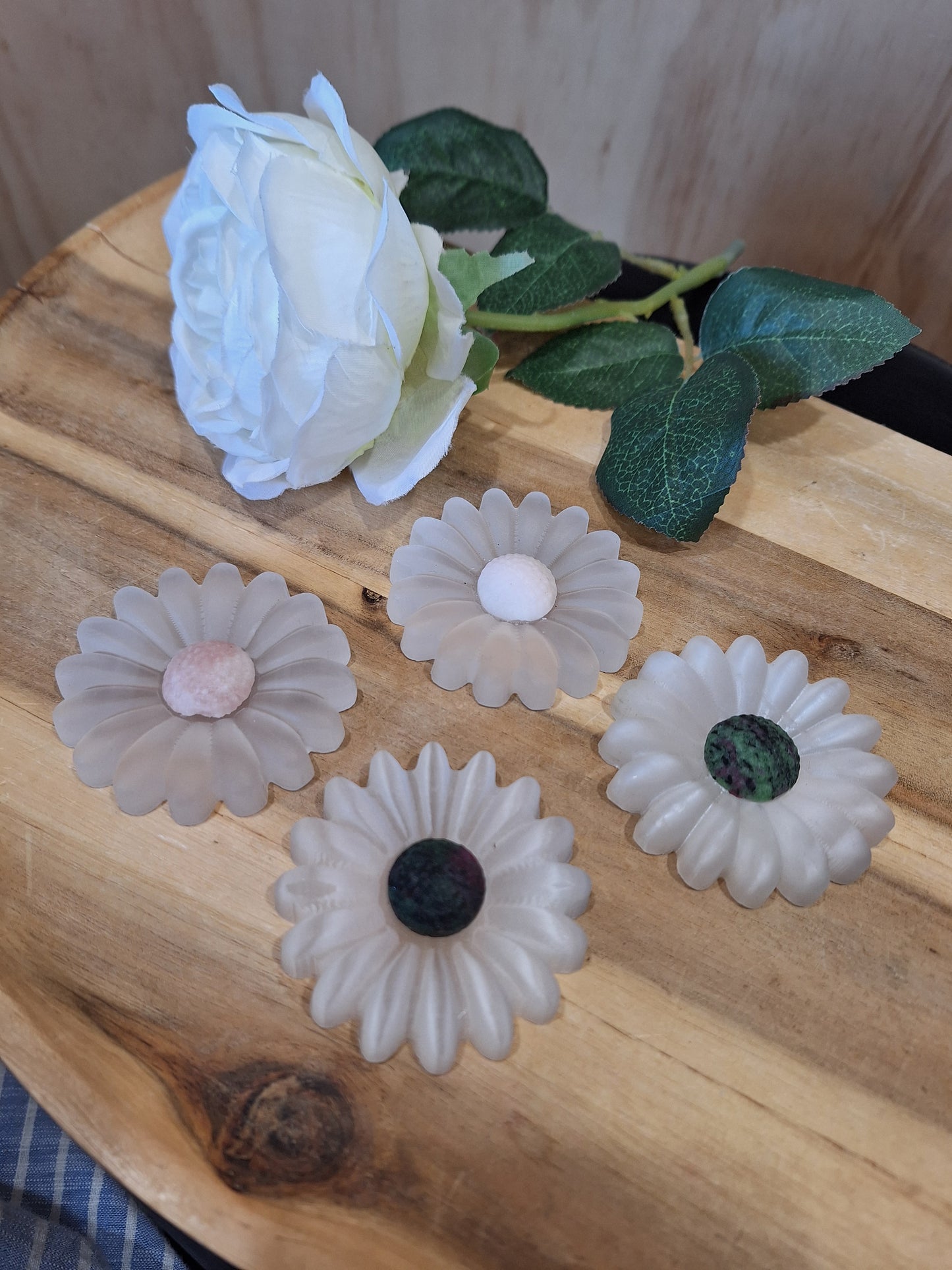 SELENITE DAISIES