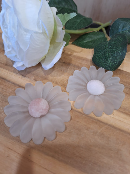 SELENITE DAISIES