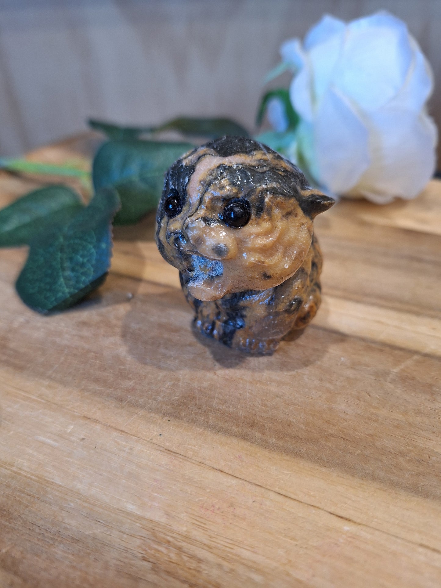 TIGER SKIN JASPER CAT