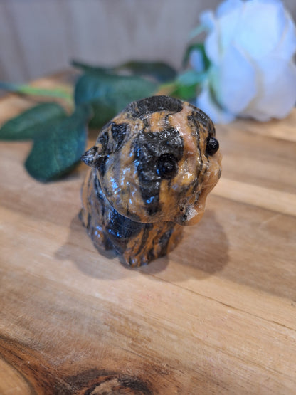 TIGER SKIN JASPER CAT