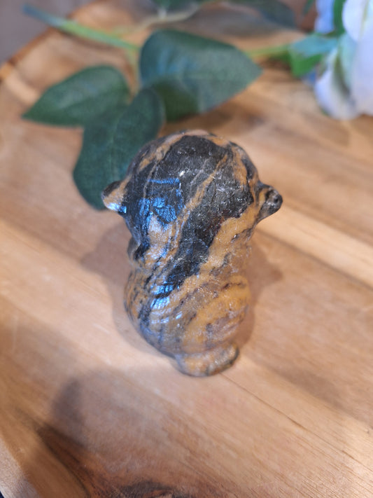 TIGER SKIN JASPER CAT