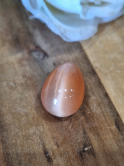 CATS EYE EGGS