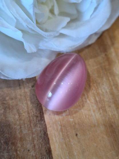 CATS EYE EGGS