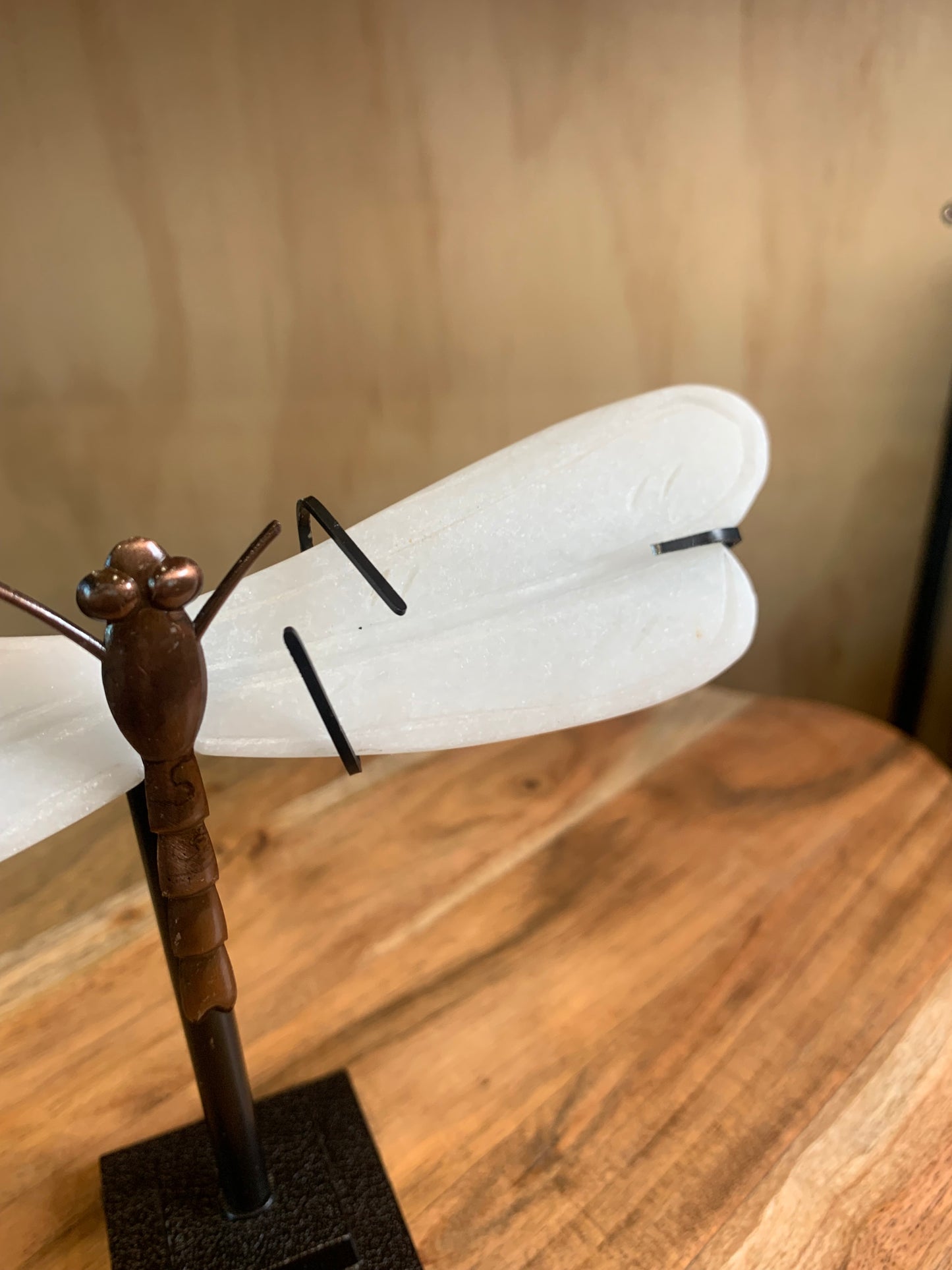 WHITE JADE DRAGON FLY