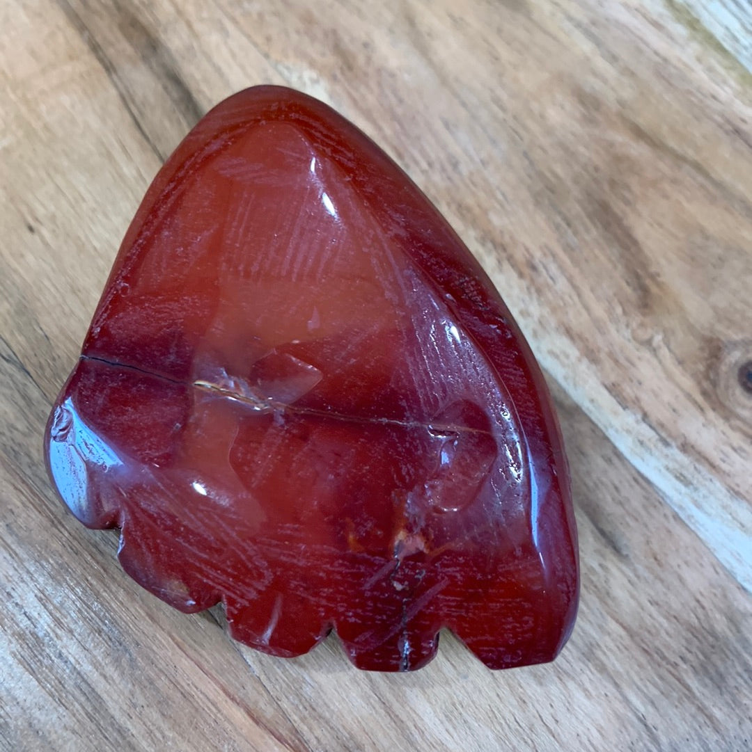RED JASPER FOOT (SO WEIRD BUT SO CUTE)