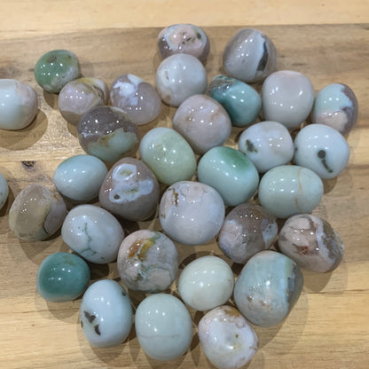 GREEN FLOWER AGATE TUMBLES