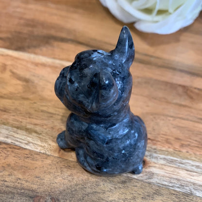 LARVIKITE FRENCH DOG