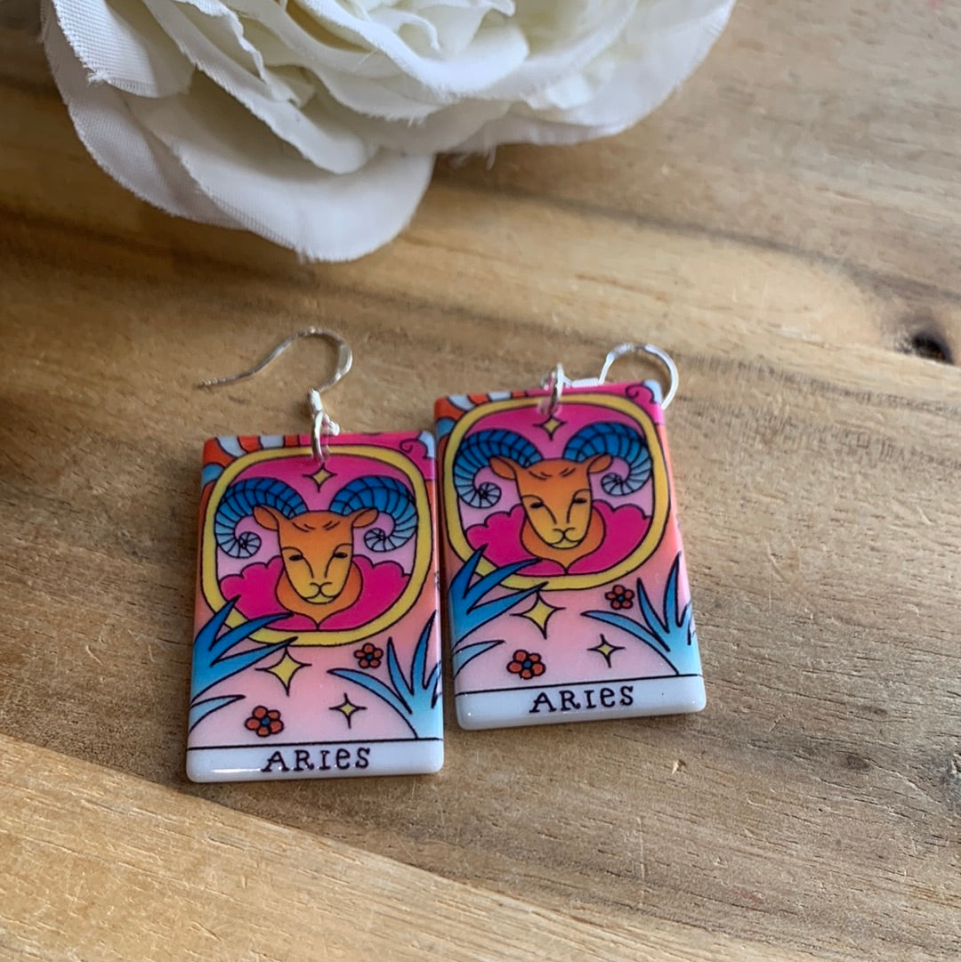 AWESOME ACRYLIC 925 STIRLING HOOK EARRINGS (NON CRYSTAL,)