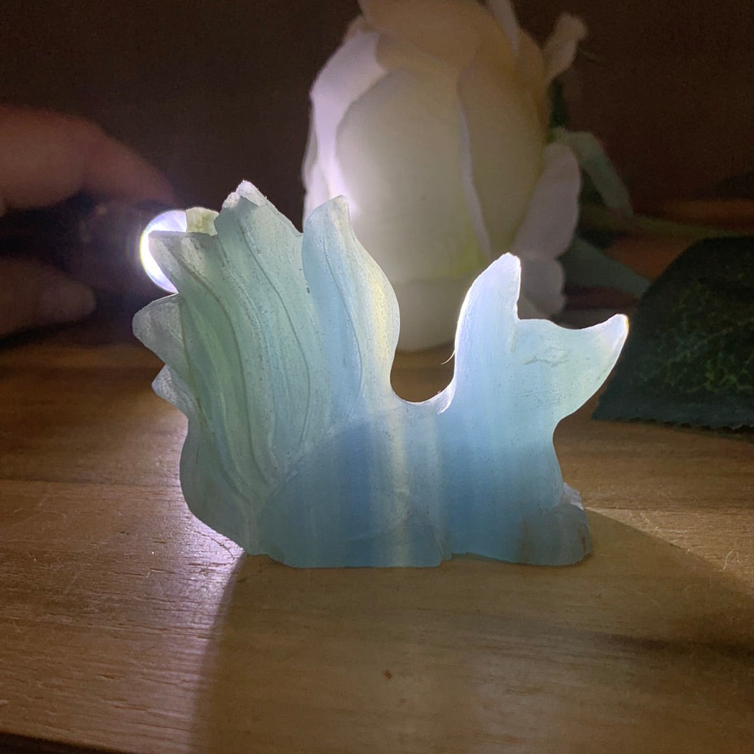 BLUE ONYX 9 TAIL FOX