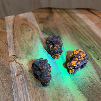 YOOPERLITE DINOSAUR HEADS