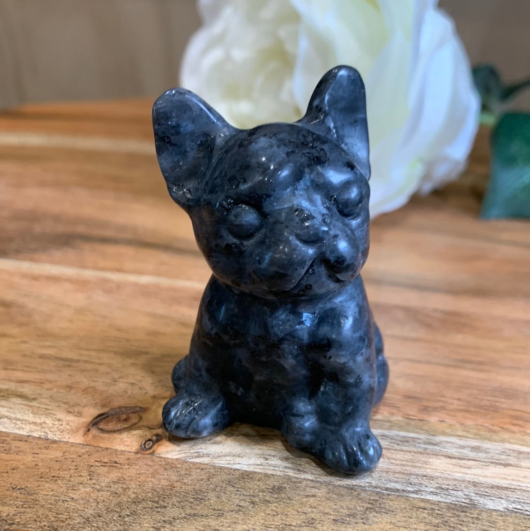 LARVIKITE FRENCH DOG
