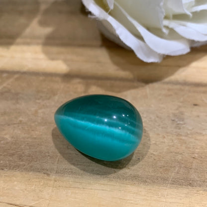 CATS EYE EGGS