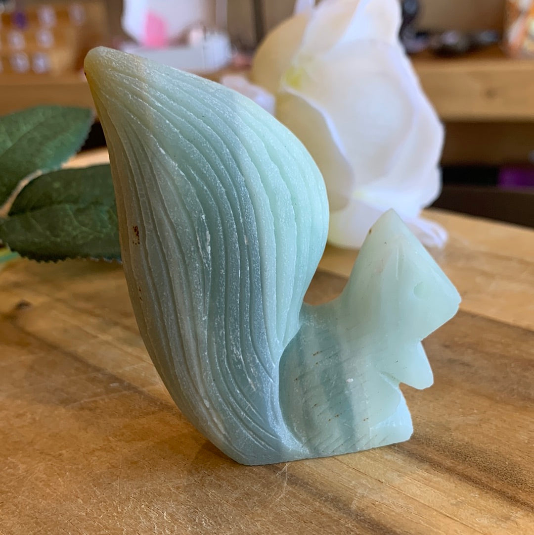 CARRIBEAN CALCITE SQUIRREL
