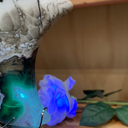VOLCANO AGATE MOON ON SILVER ASTROLOGY STAND