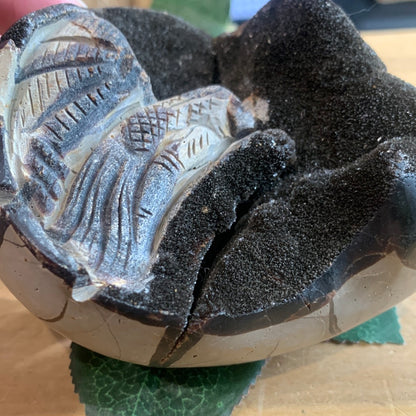 SEPTARIAN EGG WITH EGYPTIAN CARVING INSIDE (MEDIUM TO LARGE)