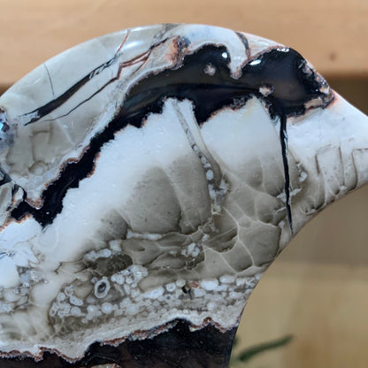 VOLCANO AGATE MOON ON SILVER ASTROLOGY STAND