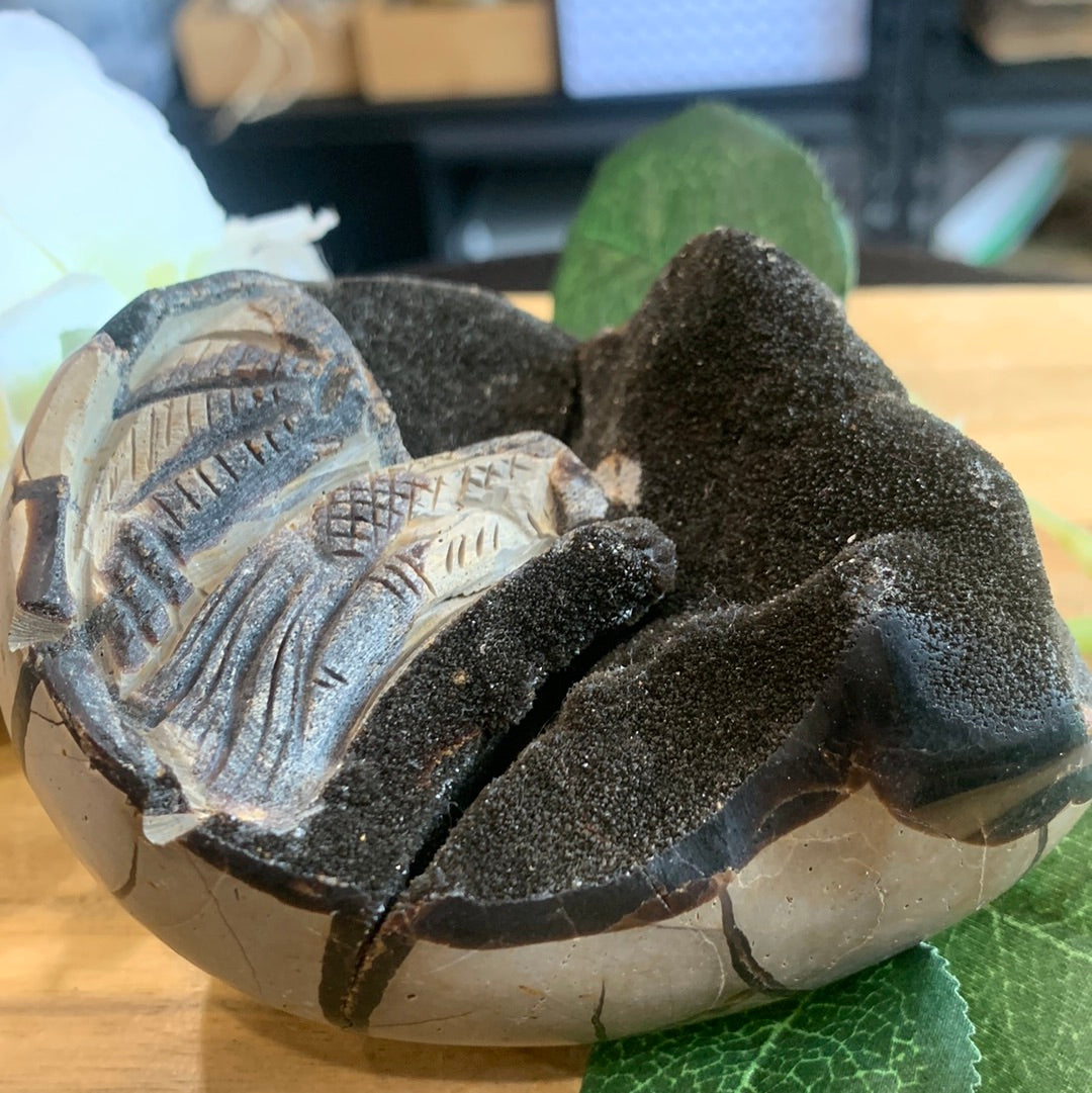 SEPTARIAN EGG WITH EGYPTIAN CARVING INSIDE (MEDIUM TO LARGE)