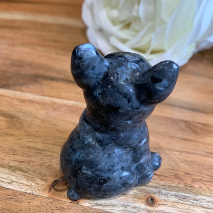 LARVIKITE FRENCH DOG
