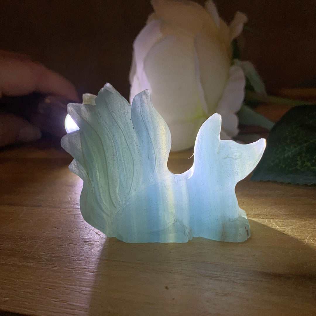 BLUE ONYX 9 TAIL FOX