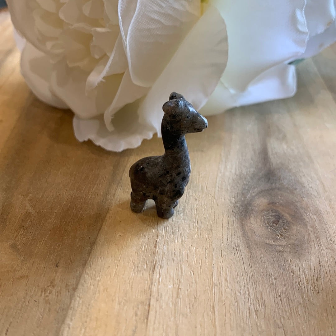 MINI ALPACAS