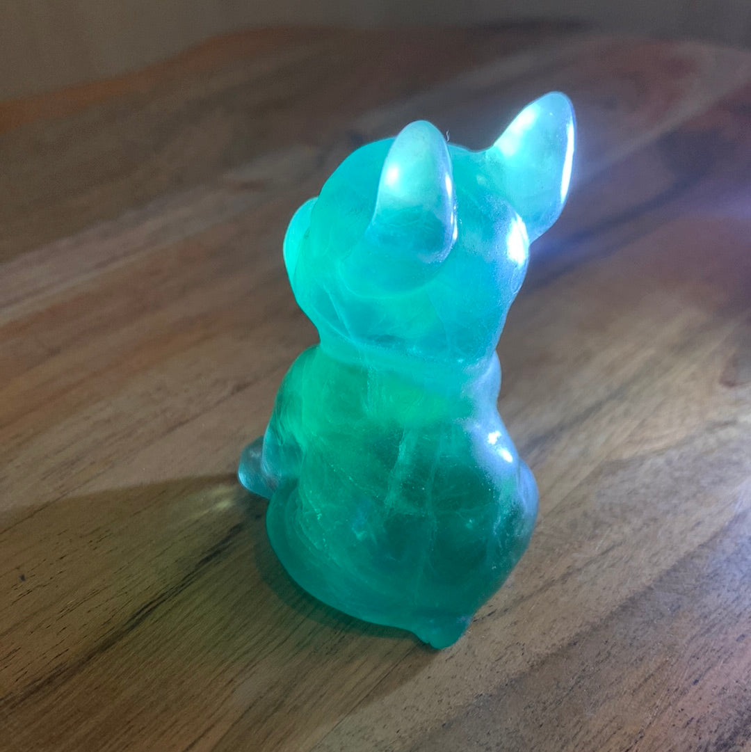 FLUORITE FRENCH DOGS
