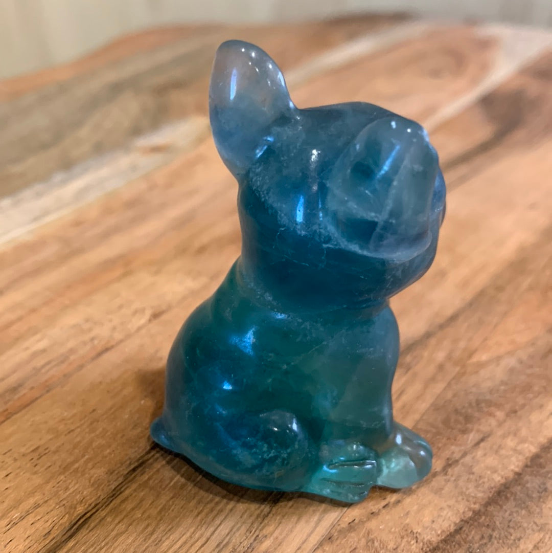 FLUORITE FRENCH DOGS