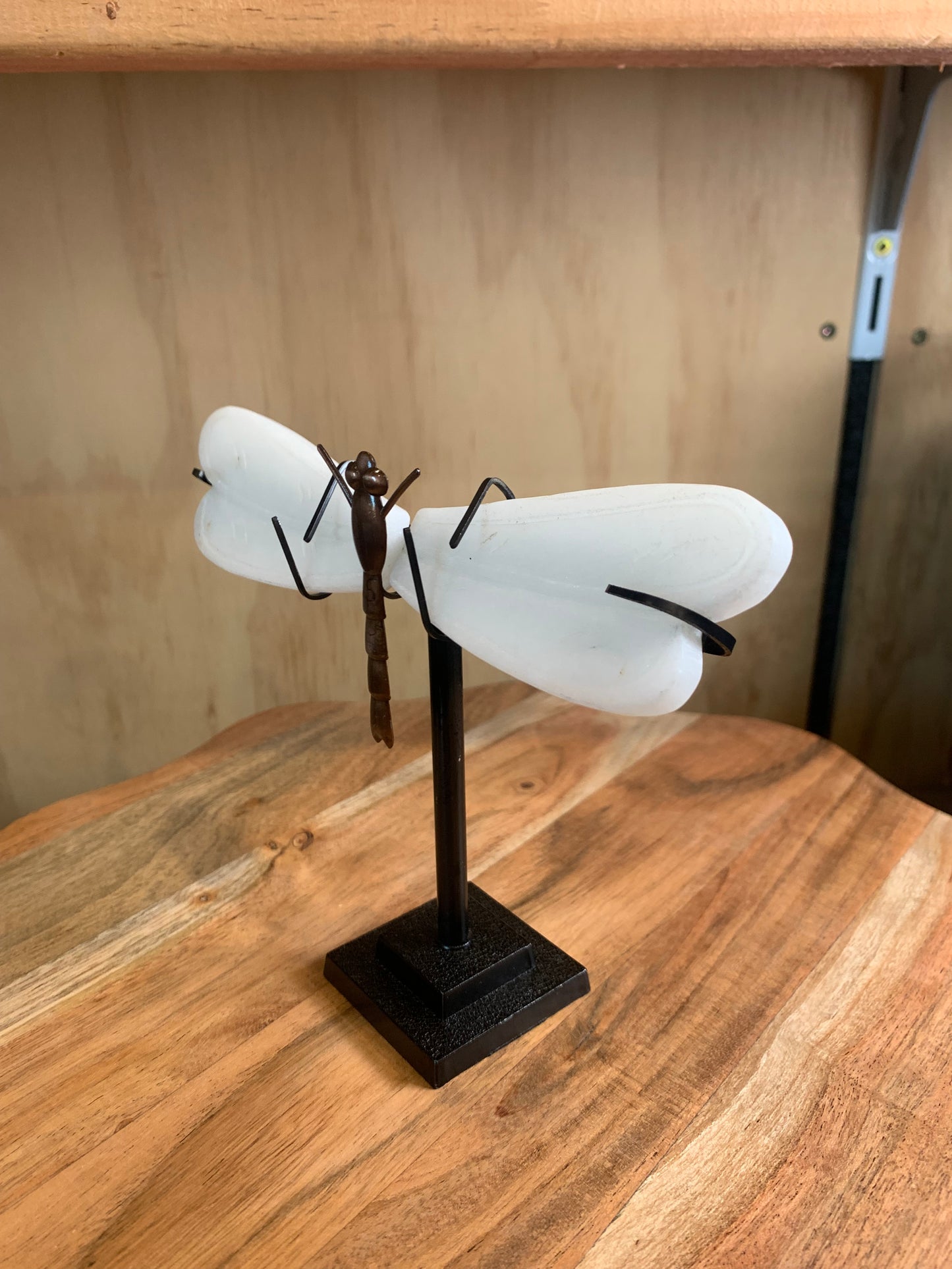 WHITE JADE DRAGON FLY