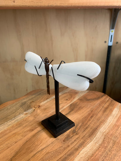 WHITE JADE DRAGON FLY