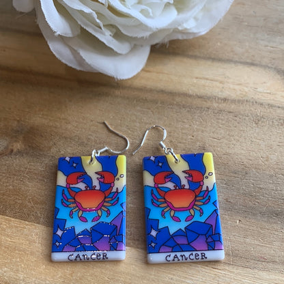 AWESOME ACRYLIC 925 STIRLING HOOK EARRINGS (NON CRYSTAL,)