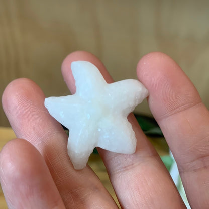 WHITE JADE STARFISH