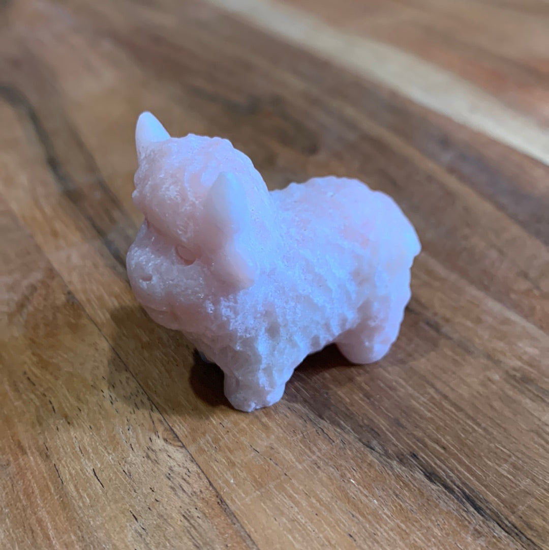 CRYSTAL HIGHLAND COWS