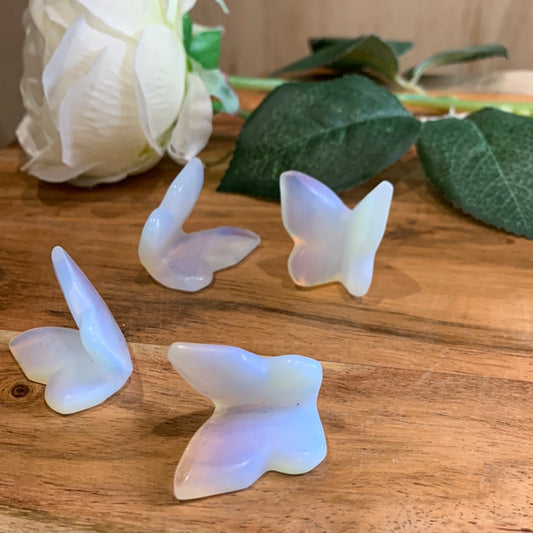 BUTTERFLIES (SMALL)